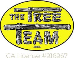 tree-team-inc Logo